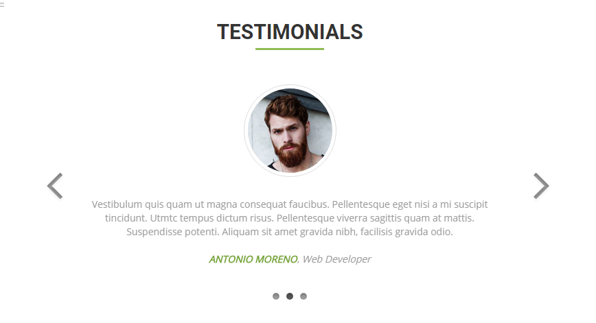 Testimonial Carousel with Quote Icon